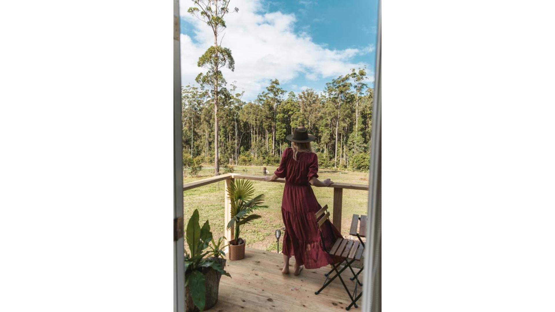 Kookaburra Tiny House By Tiny Away Villa Palmwoods Kültér fotó